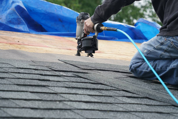 Best Roof Gutter Cleaning  in Marksville, LA